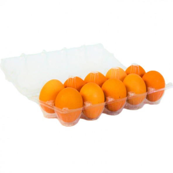 10 LU PLASTİK KAPAKLI YUMURTA VİYOLÜ - Resim 3