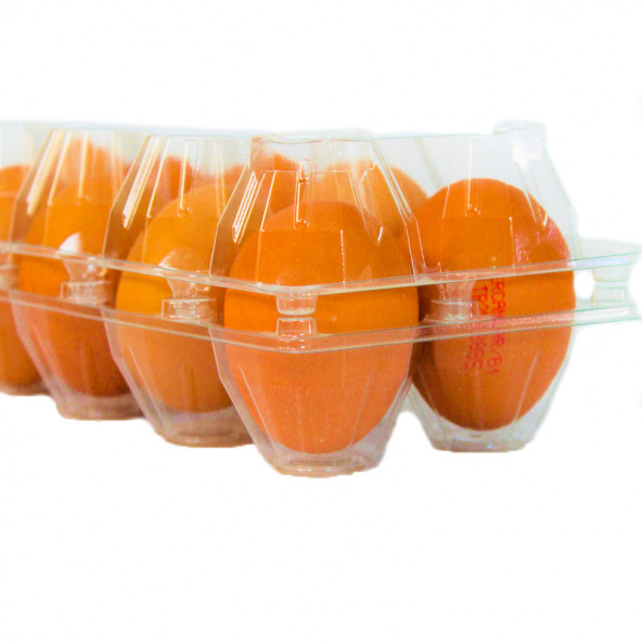 10 LU PLASTİK KAPAKLI YUMURTA VİYOLÜ - Resim 4