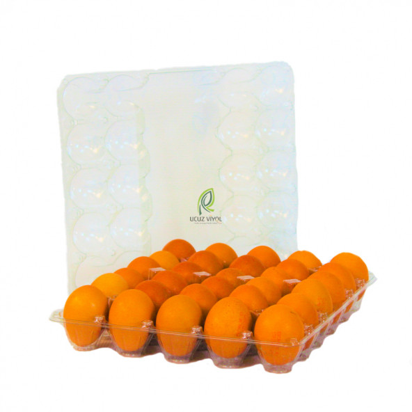 30 LU PLASTİK KAPAKLI YUMURTA VİYOLÜ 50 ADET - Resim 4