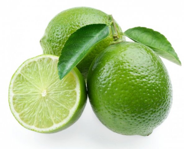 Dikensiz MEXİCAN LİME Limon Fidanı NADİR ÇEŞİT 5 YAŞLI TÜPLÜ