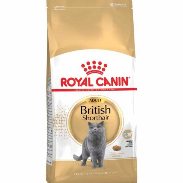 Yetişkin British Shorthair Kedi Maması Royal Canin Kedi Mama 2Kg