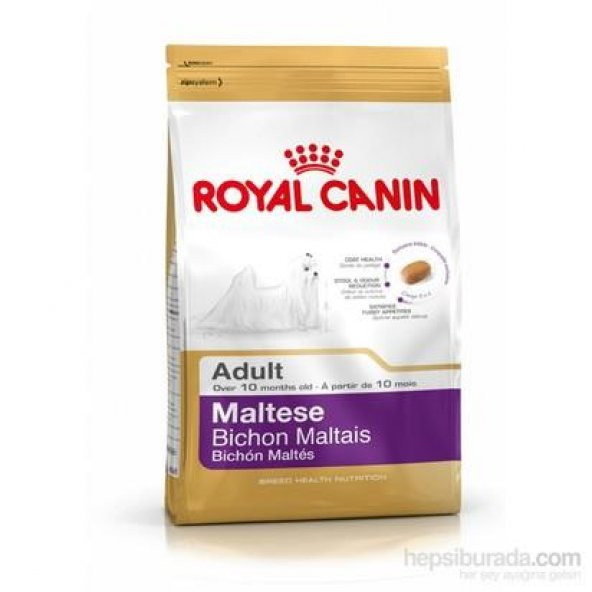 Yetişkin Maltese Terrier Irkı Özel Mama 1,5 Kg Royal Canin