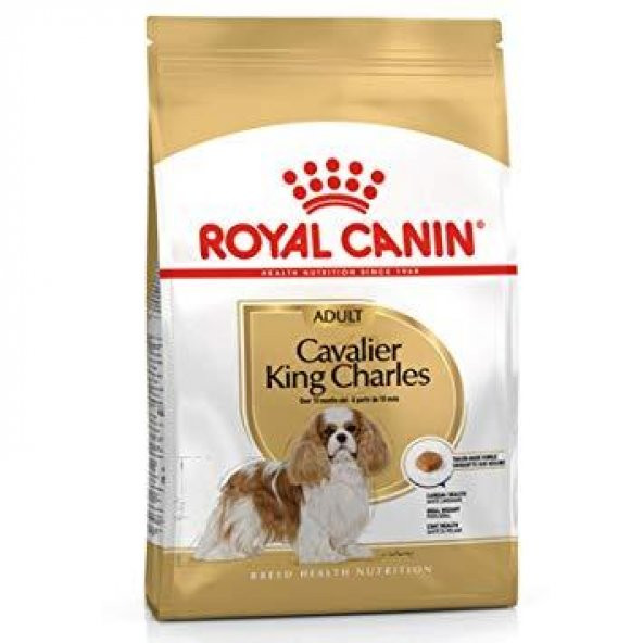 Cavalier King Charles Spaniel Köpek Maması Royal Canin 1.5Kg