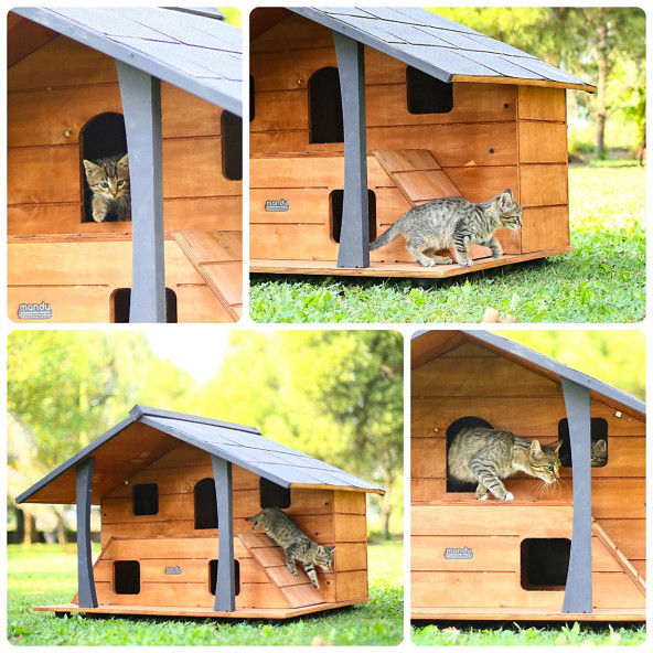 Mandu Ahşap Lüks Kedi Evi - 6