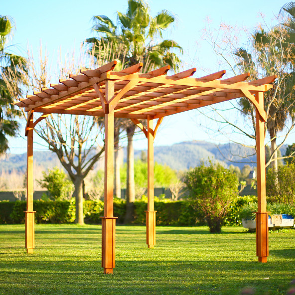 Mandu Ahşap Pergole /Kamelya - 5