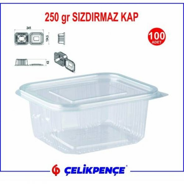 250 gr. Plastik Sızdırmaz Kap 100 Adet - 2