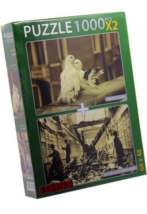 Romantic Pigeons ve London Library 2x1000 Parca Yapboz Puzzle Gor