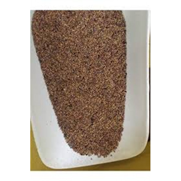 Yonca Tohumu 10 kg - 2