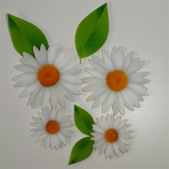 Beyaz Papatya ve Yaprak Desenli Ütüyle Yapışan Keçe Aplike (DK 99 AY)