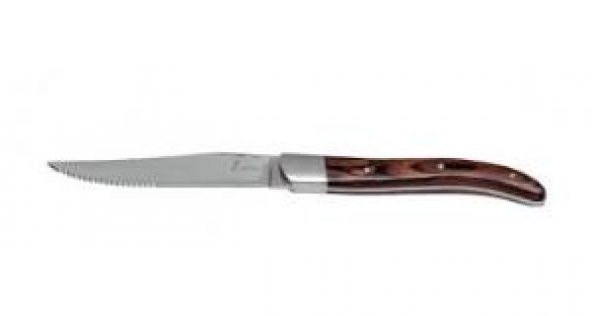 Zicco Steak Bıçak 23 cm ST01