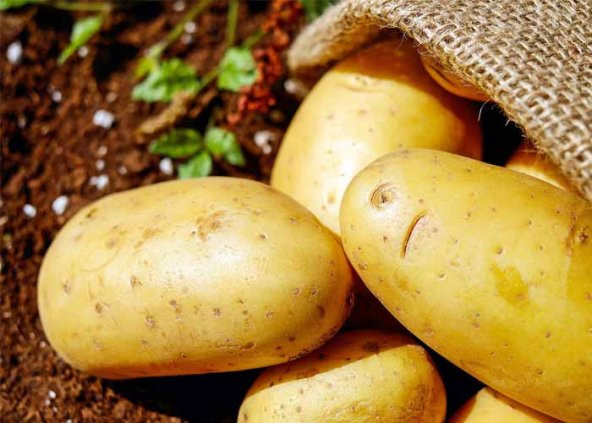 PATATES , BOLU PATATESİ 20 KGLIK ÇUVAL