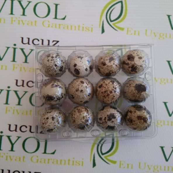 BILDIRCIN YUMURTA VİYOLU 1000 ADET