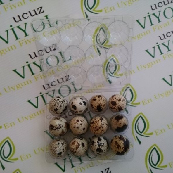 BILDIRCIN YUMURTA VİYOLU 1500 ADET
