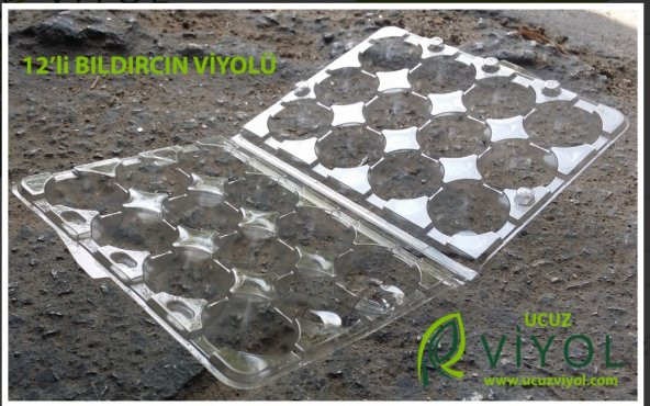 BILDIRCIN YUMURTA VİYOLU 1500 ADET - 3