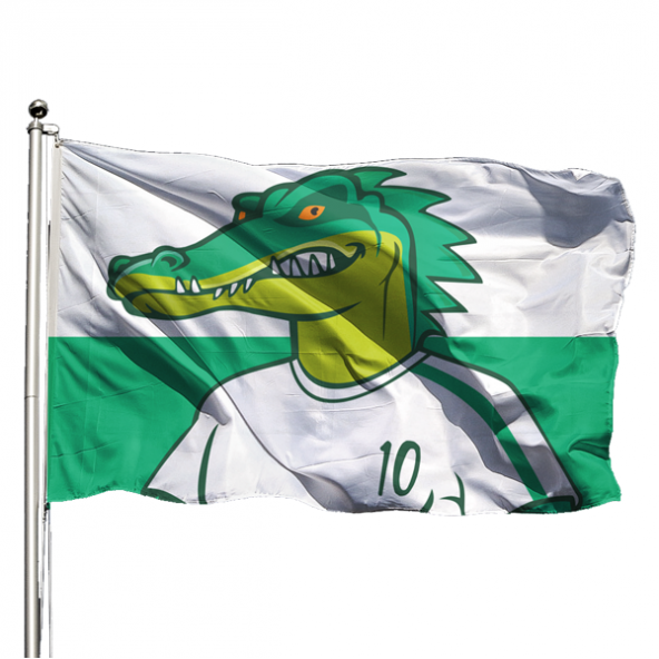 Bursaspor Bayrağı 150x225 cm - 1