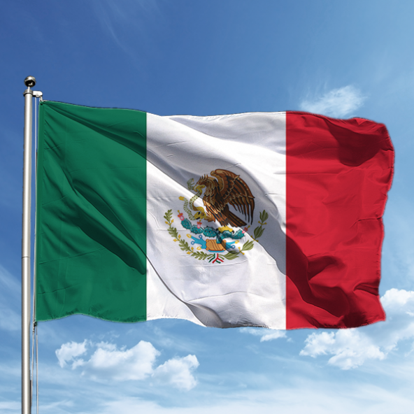 Meksika Bayrağı 50*75