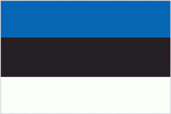 Estonya 15x22,5 Masa Bayrağı (Direksiz)