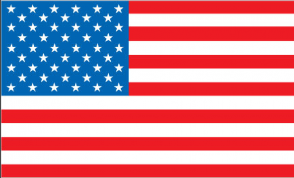 Amerika 15x22,5 Masa Bayrağı (Direksiz)