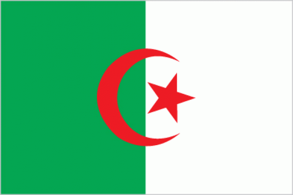 Cezayir 15x22,5 Masa Bayrağı (Direksiz)