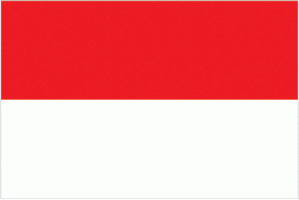 Endonezya 15x22,5 Masa Bayrağı (Direksiz)