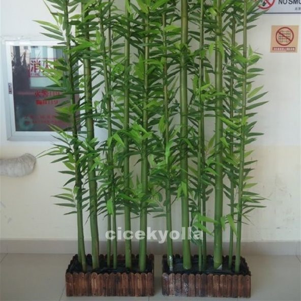 Yeşil Bambu Uygulaması