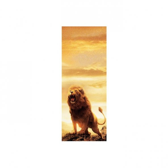 Aslan Kral Buzdolabı Sticker