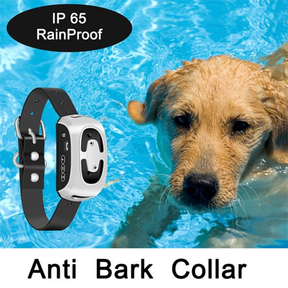 Petainer PB10 Havlama Önleyici Köpek Eğitim Tasması - 6