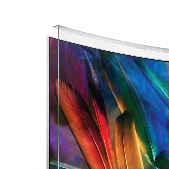 Notvex 65" inç 165 Ekran Curved Tv Ekran Koruyucu - 2