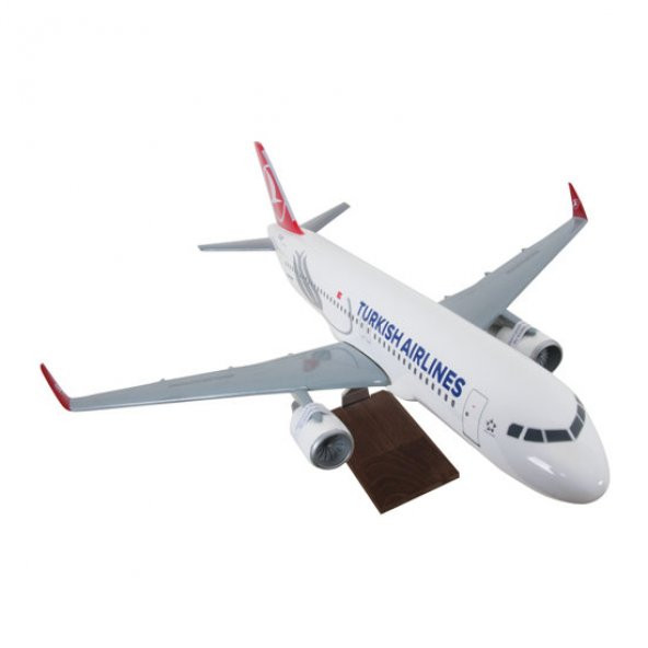 TK Collection A320 Neo 1/60 Model Uçak - 10