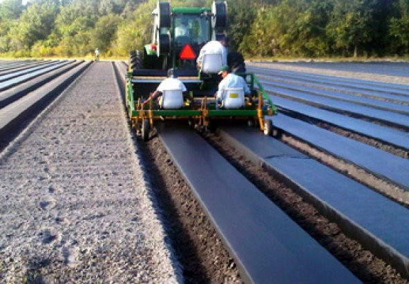 Cilek Naylonu 30 Metre Çilek Örtüsü Malç Naylonu Malç Örtüsü - 3