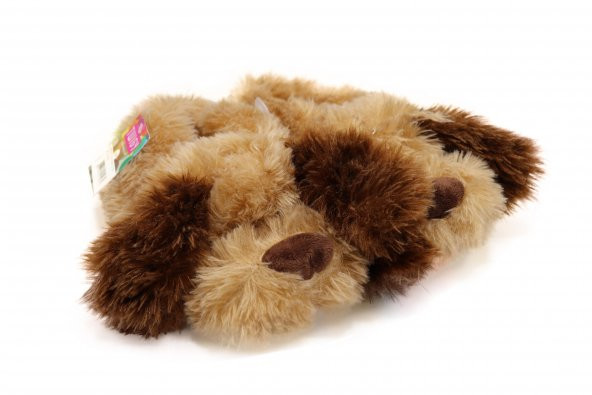 TWİGY NN0476 TW KOPULUS BEJ KADIN KIŞLIK PELUŞ EV PANDUF - 2