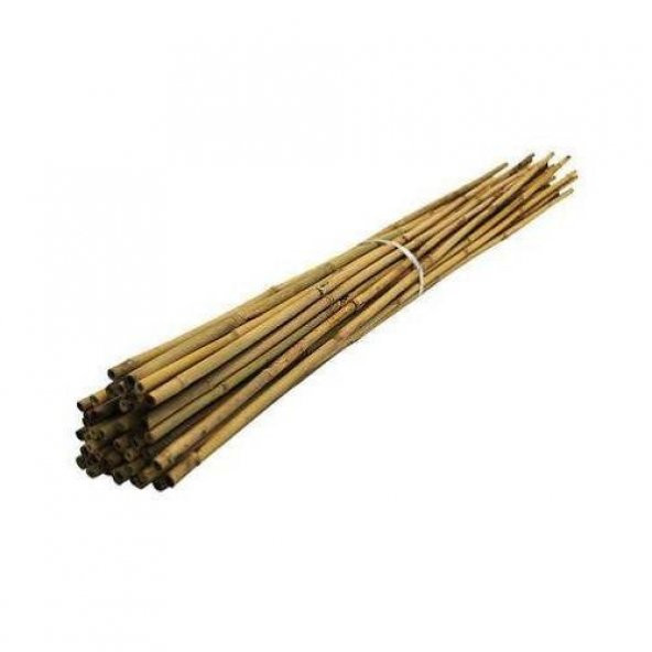 Bambu Cubuk 180 cm 14-16 mm 5 Adet Bambu Bitki Destek Çubuğu Dekoratif Bambu Çubuk