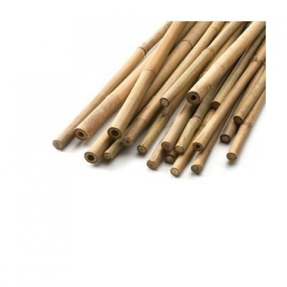 Bambu Cubuk 180 cm 14-16 mm 20 Adet Bambu Bitki Destek Çubuğu Dekoratif Bambu Çubuk