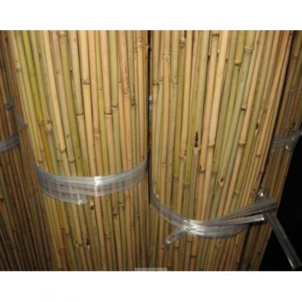 Bambu Cubuk 180 cm 14-16 mm 40 Adet Bambu Bitki Destek Çubuğu Dekoratif Bambu Çubuk