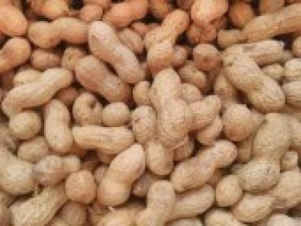 Yer Fıstığı 1 Kg Kabuklu Çiğ - 2