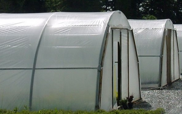 Sera Naylonu 8x40=320 m2 36 Aylık Sera Örtüsü Şeffaf Sera Naylonu  Plastik Sera Naylonu - 2