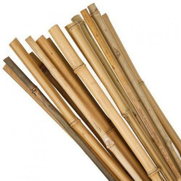 Bambu Cubuk 210 cm 16-18 mm 50 Adet Bambu Bitki Destek Çubuğu Dekoratif Bambu Çubuk