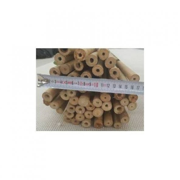 Bambu Cubuk 240 cm 18-20 mm 5 Adet Bambu Bitki Destek Çubuğu Dekoratif Bambu Çubuk - 2