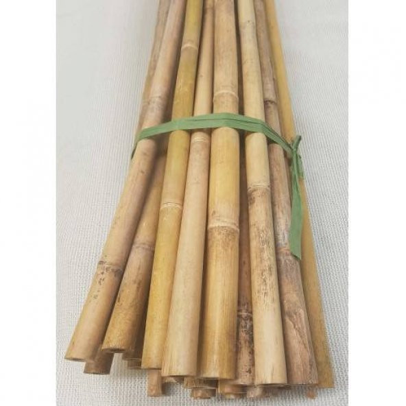 Bambu Cubuk 300 cm 15-25 mm 5 Adet Bambu Bitki Destek Çubuğu Dekoratif Bambu Çubuk - 3