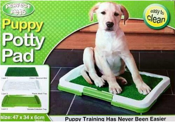 Köpek Tuvalet Eğitim Seti: Potty Trainer