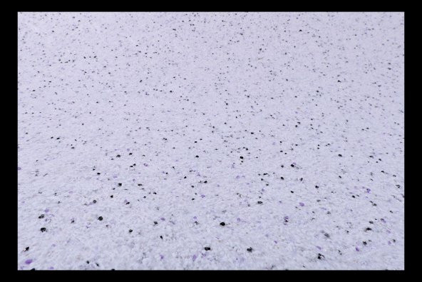 Isı ve Ses Yalıtımlı Canlı  İpek  Dekoratif Sıva Sunshine-24 ürün görseli