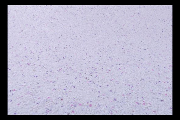 Isı ve Ses Yalıtımlı Canlı  İpek  Dekoratif Sıva Sunshine-25 - Resim 2