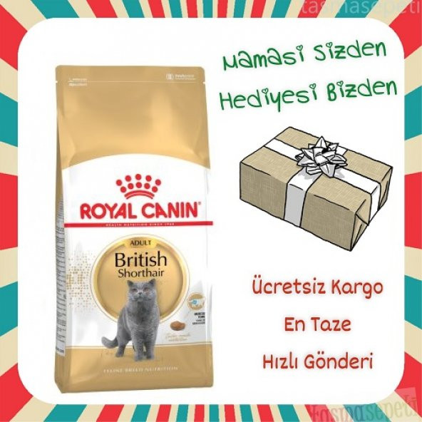 Royal Canin British Shorthair Kedi Maması 4 Kg + HEDİYELİ