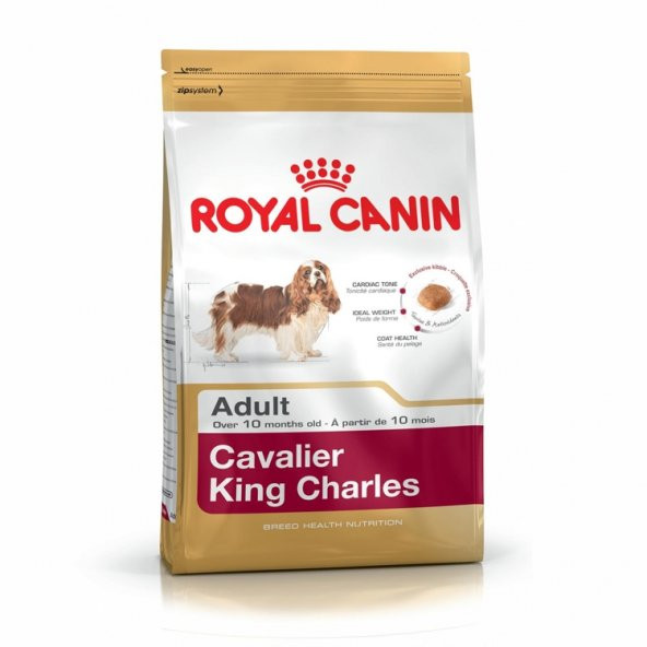 Royal Canin Cavalier Adult King Charles Köpek Maması 3 Kg.