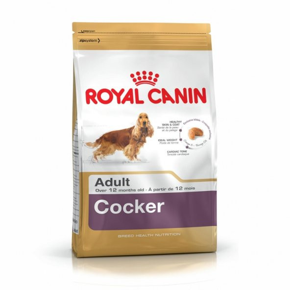 Royal Canin Cocker Irka Özel Yetişkin Köpek Maması 3 Kg