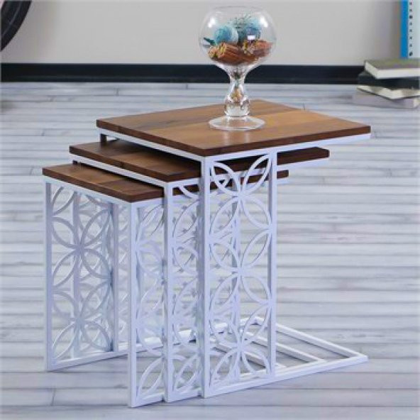 Metal Ayaklı Elegant Zigon Sehpa - 2