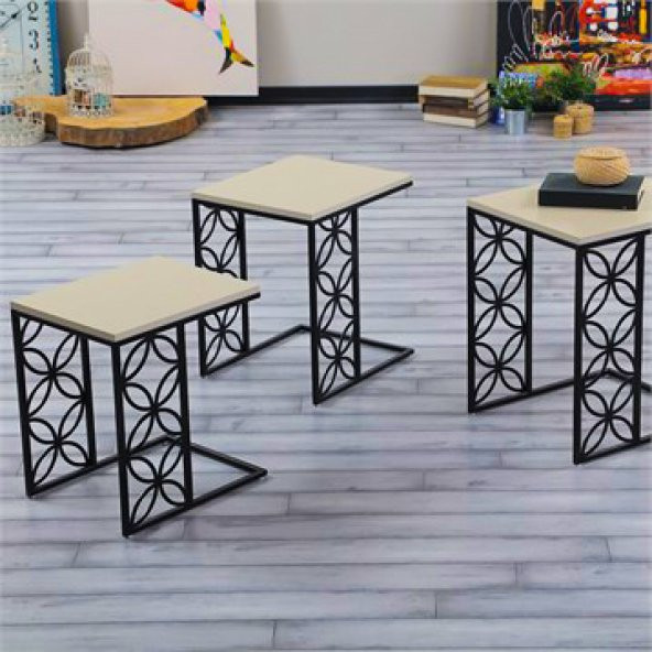 Metal Ayaklı Elegant Zigon Sehpa - 5