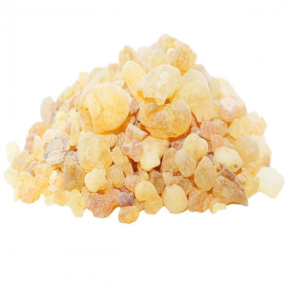 Doğan Ak Günlük Sakızı Doğal 1000 Gr Paket - 3
