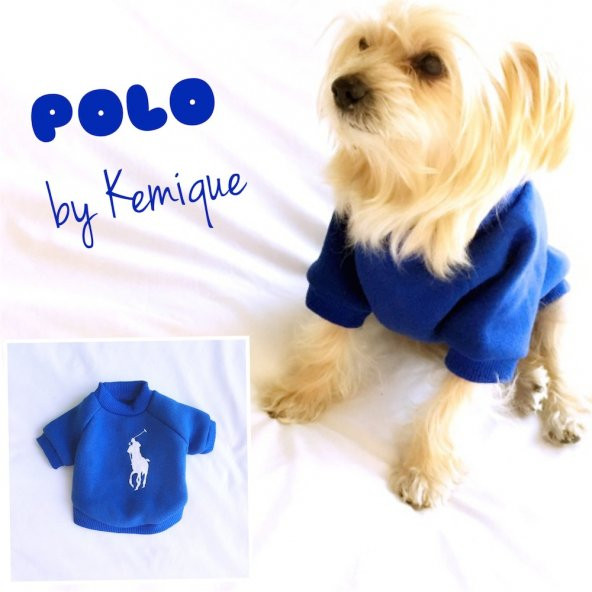 Mavi Köpek Sweatshirt Polo Köpek Kıyafeti Köpek Elbisesi - 3