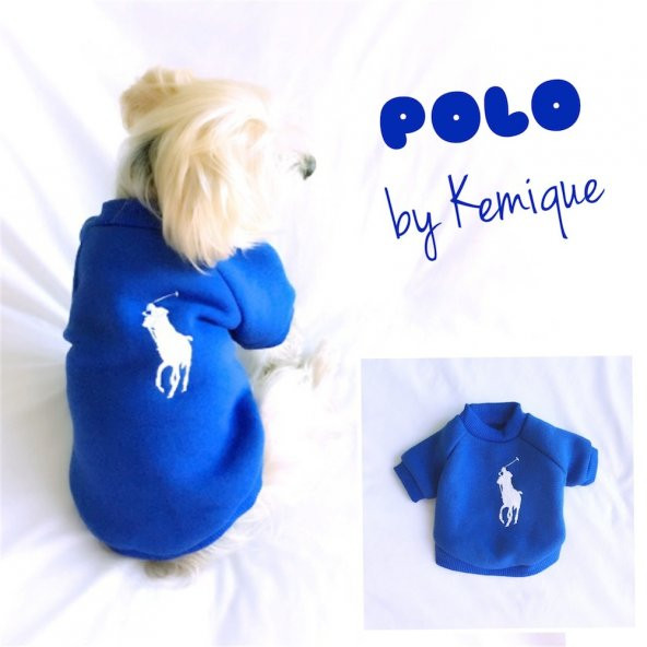 Mavi Köpek Sweatshirt Polo Köpek Kıyafeti Köpek Elbisesi - 4